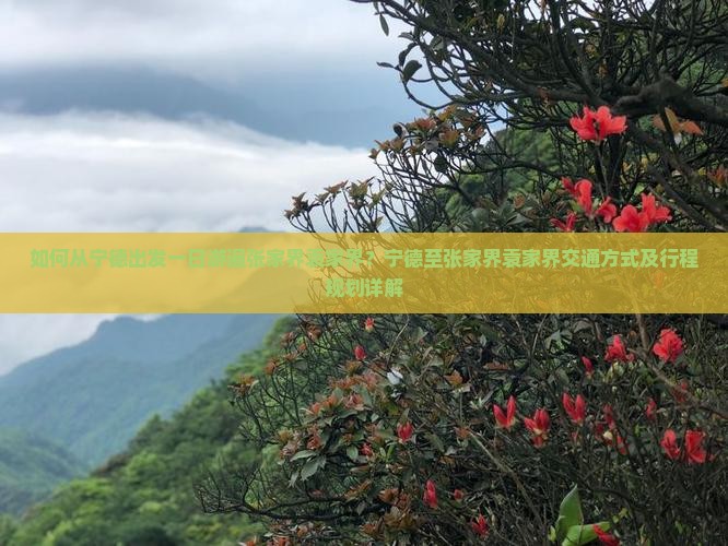 如何从宁德出发一日游遍张家界袁家界？宁德至张家界袁家界交通方式及行程规划详解