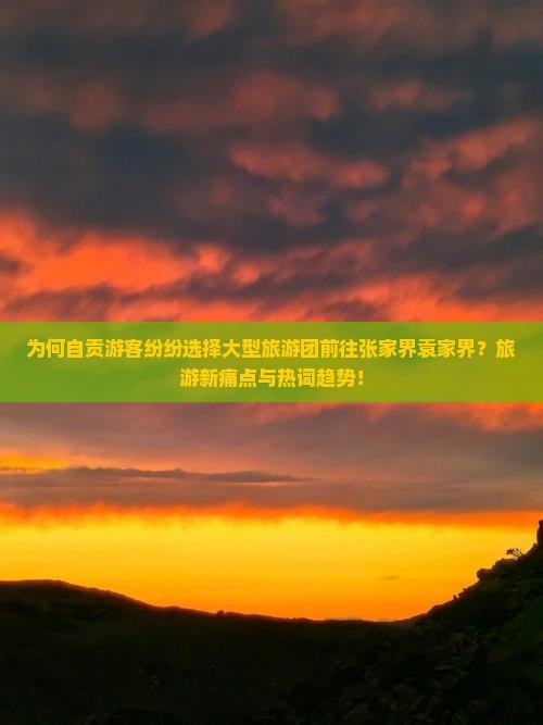 为何自贡游客纷纷选择大型旅游团前往张家界袁家界？旅游新痛点与热词趋势！