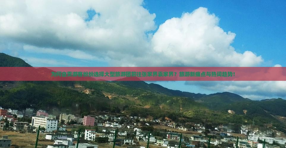 为何自贡游客纷纷选择大型旅游团前往张家界袁家界？旅游新痛点与热词趋势！