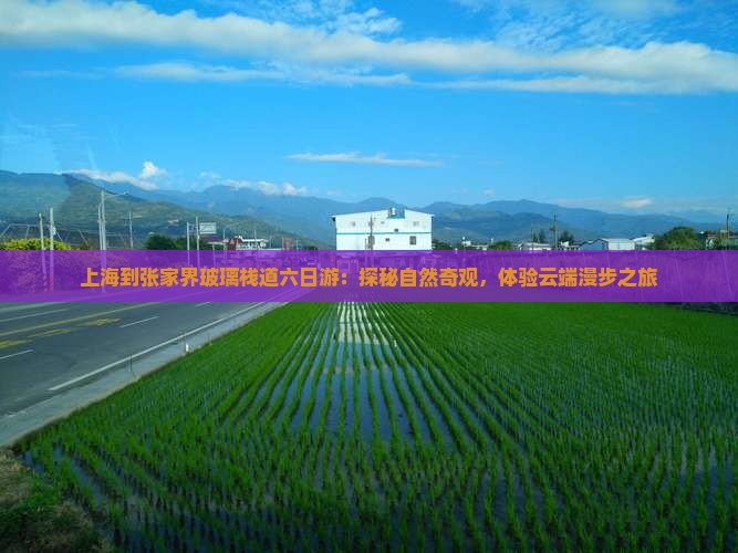上海到张家界玻璃栈道六日游：探秘自然奇观，体验云端漫步之旅