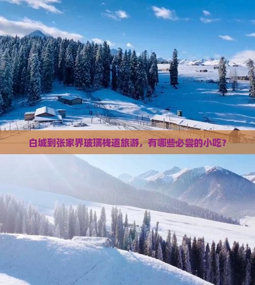 白城到张家界玻璃栈道旅游，有哪些必尝的小吃？