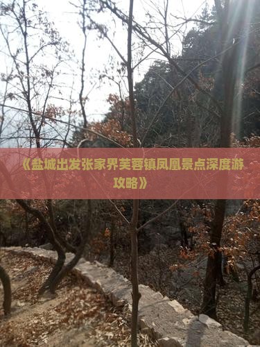 《盐城出发张家界芙蓉镇凤凰景点深度游攻略》