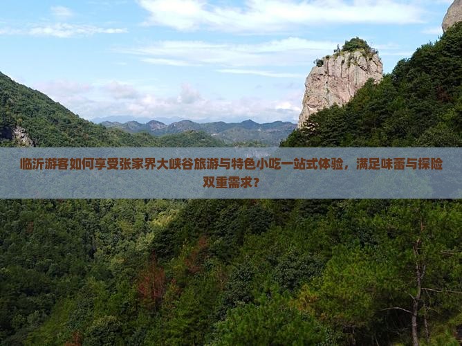 临沂游客如何享受张家界大峡谷旅游与特色小吃一站式体验，满足味蕾与探险双重需求？