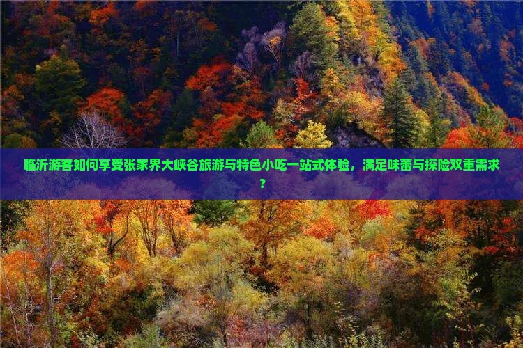 临沂游客如何享受张家界大峡谷旅游与特色小吃一站式体验，满足味蕾与探险双重需求？