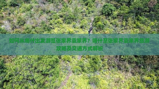 如何从喀什出发游览张家界袁家界？喀什至张家界袁家界旅游攻略及交通方式解析