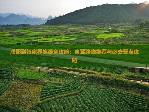 濮阳到张家界旅游全攻略：自驾路线推荐与必去景点攻略