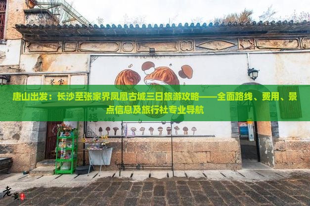 唐山出发：长沙至张家界凤凰古城三日旅游攻略——全面路线、费用、景点信息及旅行社专业导航