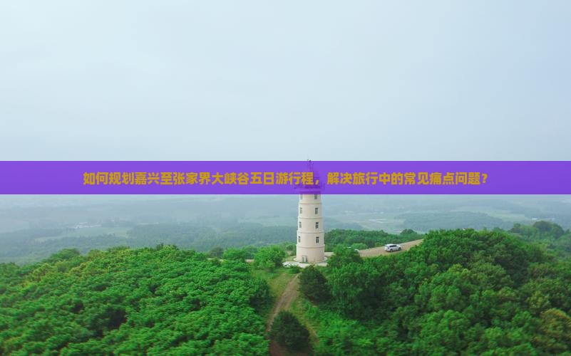 如何规划嘉兴至张家界大峡谷五日游行程，解决旅行中的常见痛点问题？