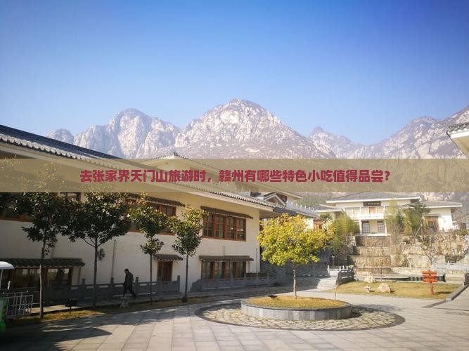 去张家界天门山旅游时，赣州有哪些特色小吃值得品尝？
