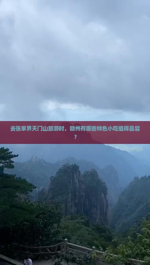 去张家界天门山旅游时，赣州有哪些特色小吃值得品尝？