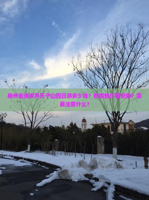 梅州去张家界天子山四日游多少钱？有哪些行程安排？需要注意什么？