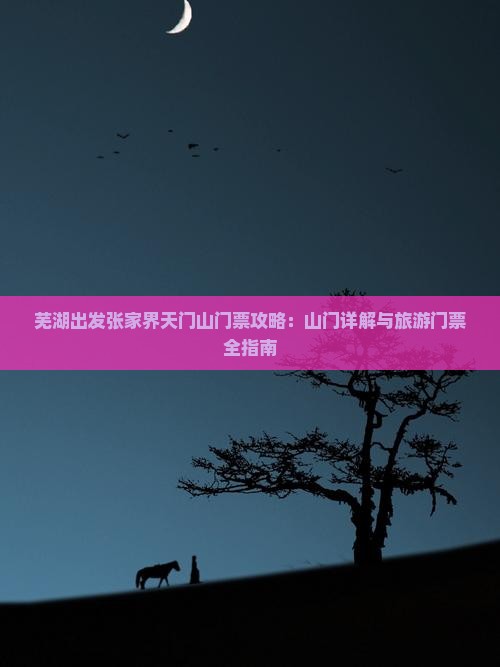 芜湖出发张家界天门山门票攻略：山门详解与旅游门票全指南