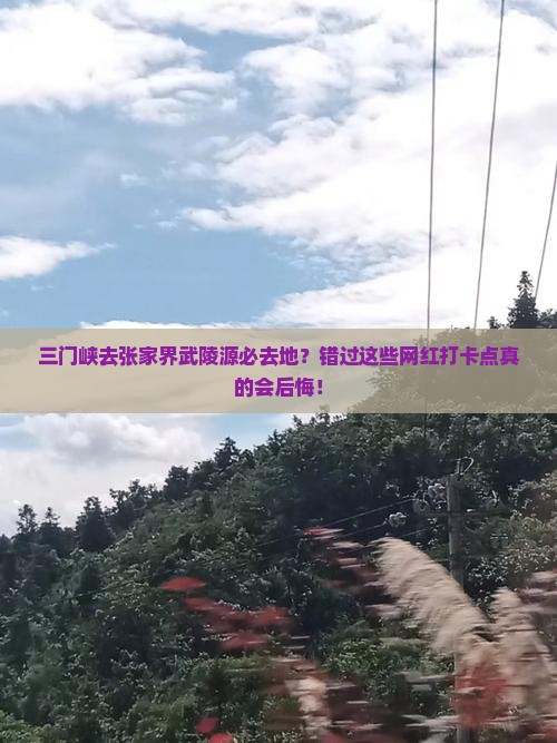 三门峡去张家界武陵源必去地？错过这些网红打卡点真的会后悔！