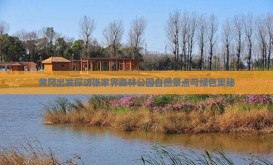 黄冈出发探访张家界森林公园自然景点与绿色奥秘