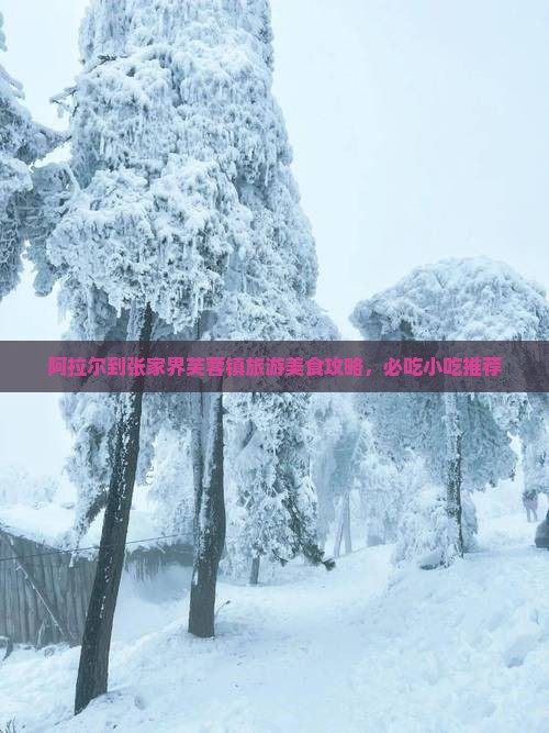 阿拉尔到张家界芙蓉镇旅游美食攻略，必吃小吃推荐