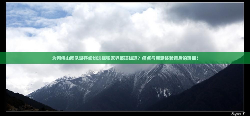 为何佛山团队游客纷纷选择张家界玻璃栈道？痛点与新潮体验背后的热词！