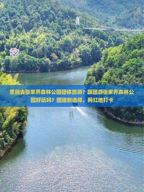 恩施去张家界森林公园团体旅游？跟团游张家界森林公园好玩吗？团建新选择，网红地打卡
