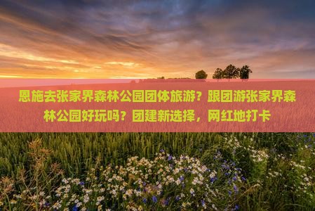 恩施去张家界森林公园团体旅游？跟团游张家界森林公园好玩吗？团建新选择，网红地打卡
