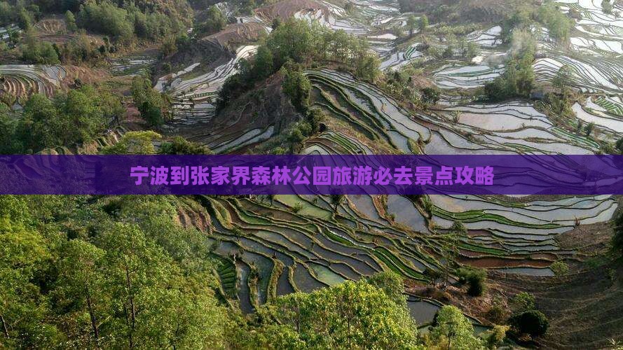 宁波到张家界森林公园旅游必去景点攻略