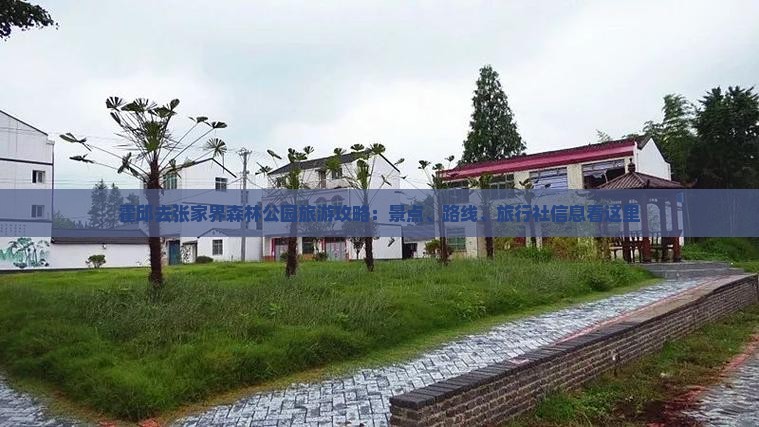 霍邱去张家界森林公园旅游攻略：景点、路线、旅行社信息看这里