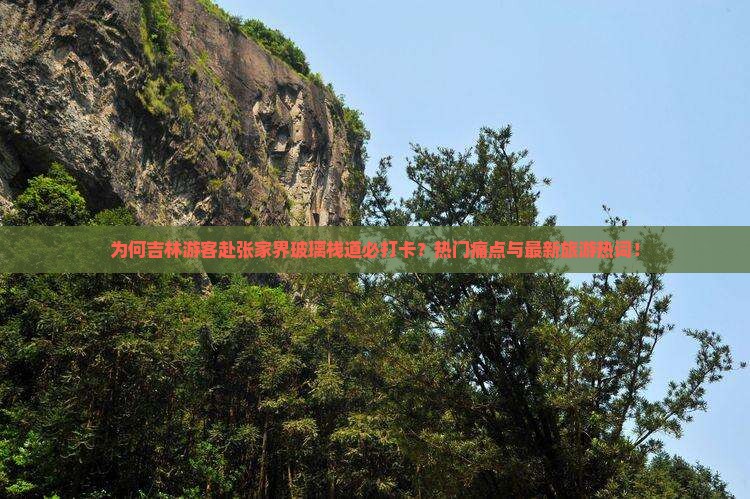 为何吉林游客赴张家界玻璃栈道必打卡？热门痛点与最新旅游热词！