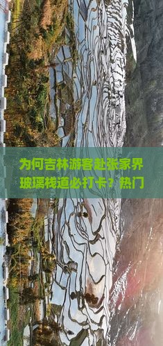 为何吉林游客赴张家界玻璃栈道必打卡？热门痛点与最新旅游热词！