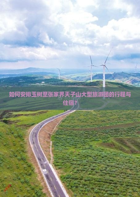 如何安排玉树至张家界天子山大型旅游团的行程与住宿? 如何安排玉树至张家界天子山大型旅游团的行程与住宿?