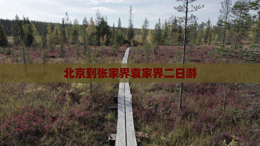 北京到张家界袁家界二日游