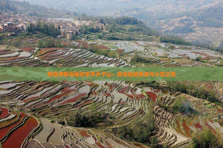 南昌游客探秘张家界天子山：品味地道美食与小吃之旅