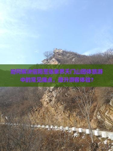 如何解决信阳至张家界天门山团体旅游中的常见痛点，提升游客体验？