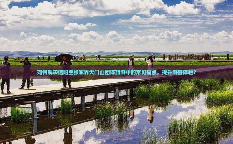 如何解决信阳至张家界天门山团体旅游中的常见痛点，提升游客体验？