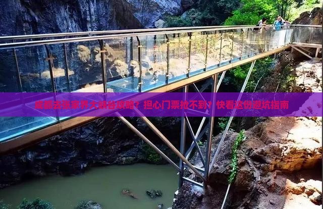 成都去张家界大峡谷攻略？担心门票抢不到？快看这份避坑指南