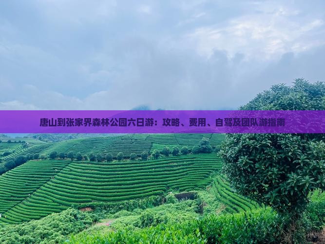 唐山到张家界森林公园六日游：攻略、费用、自驾及团队游指南