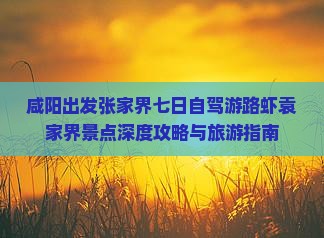 咸阳出发张家界七日自驾游路虾袁家界景点深度攻略与旅游指南