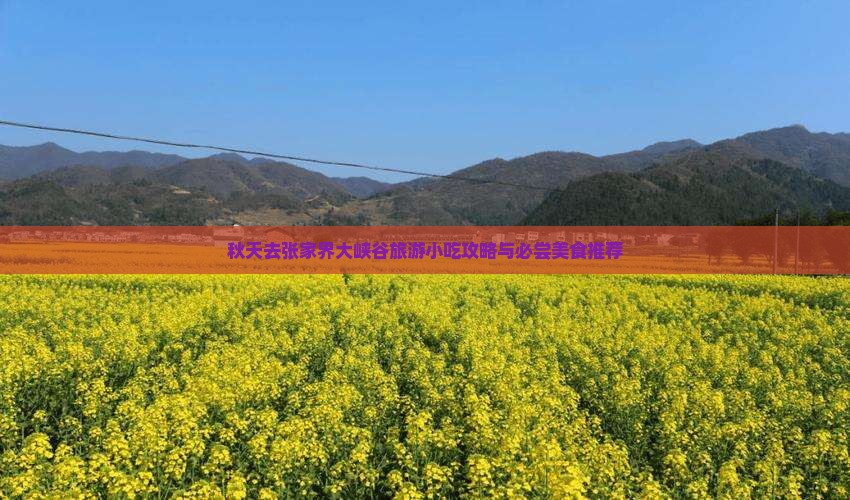秋天去张家界大峡谷旅游小吃攻略与必尝美食推荐
