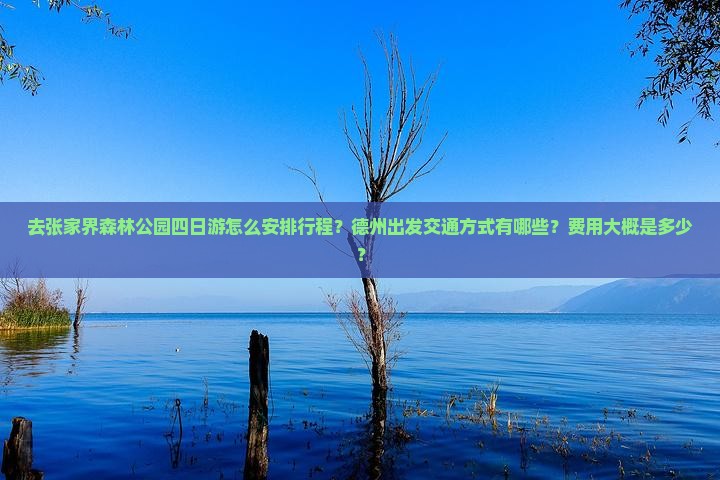 去张家界森林公园四日游怎么安排行程？德州出发交通方式有哪些？费用大概是多少？