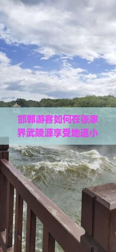 邯郸游客如何在张家界武陵源享受地道小吃与独特旅游体验？探索新潮流美食背后的痛点！