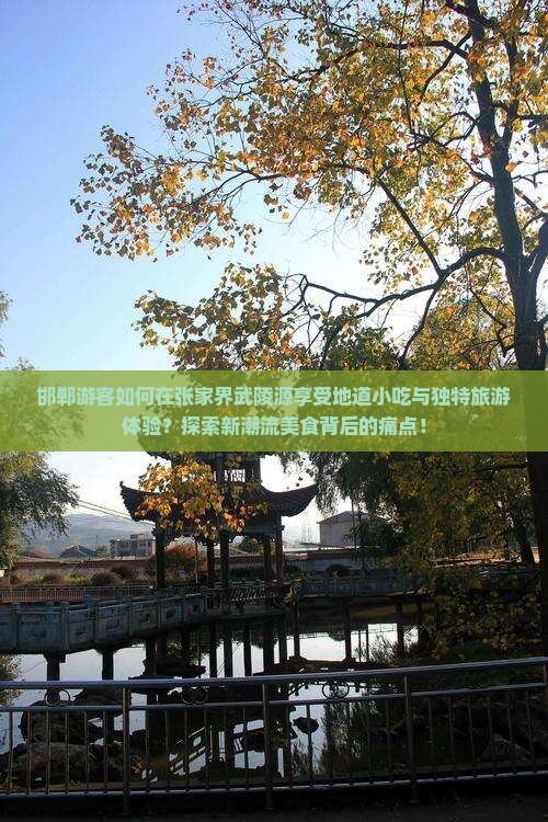 邯郸游客如何在张家界武陵源享受地道小吃与独特旅游体验？探索新潮流美食背后的痛点！