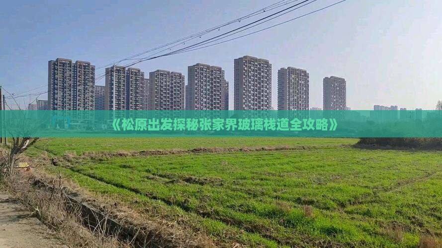 《松原出发探秘张家界玻璃栈道全攻略》