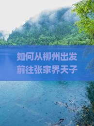 如何从柳州出发前往张家界天子山？哪些旅行社提供此行程服务？