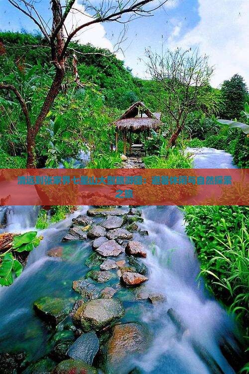 清远到张家界七星山大型旅游团：避暑休闲与自然探索之旅