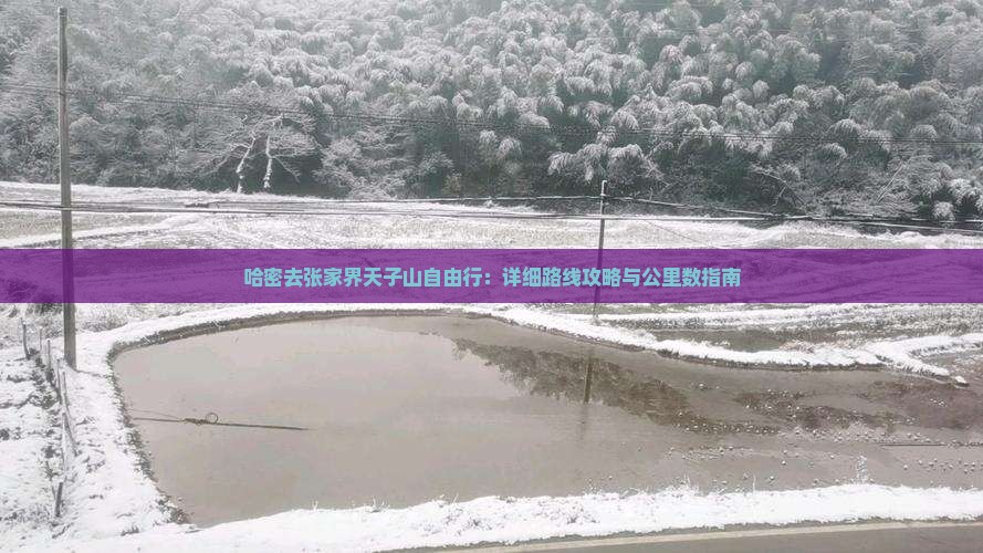 哈密去张家界天子山自由行：详细路线攻略与公里数指南