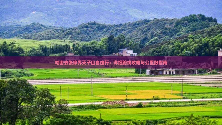哈密去张家界天子山自由行：详细路线攻略与公里数指南