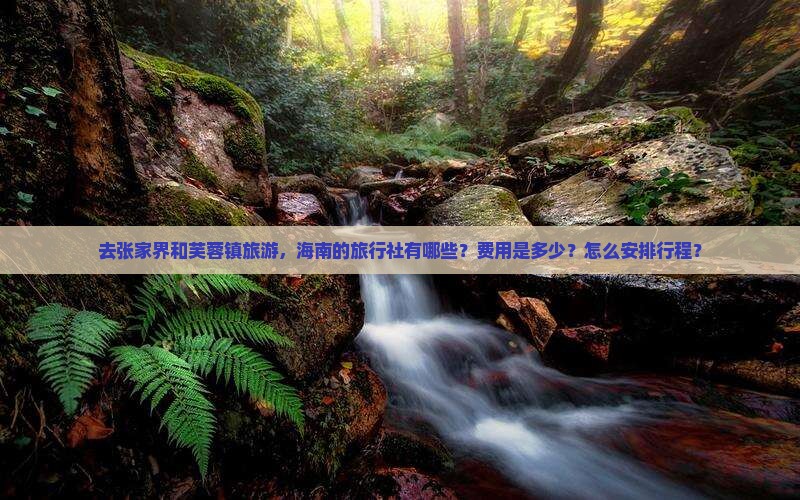 去张家界和芙蓉镇旅游，海南的旅行社有哪些？费用是多少？怎么安排行程？