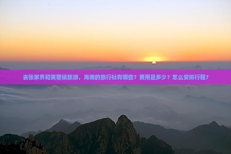 去张家界和芙蓉镇旅游，海南的旅行社有哪些？费用是多少？怎么安排行程？