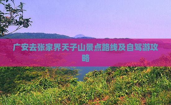 广安去张家界天子山景点路线及自驾游攻略