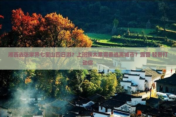 湘西去张家界七星山四日游？上班族太累需要逃离城市？露营+轻奢打动你