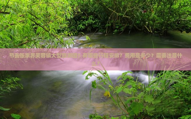 节去张家界芙蓉镇大型旅游团？有哪些行程安排？费用是多少？需要注意什么？