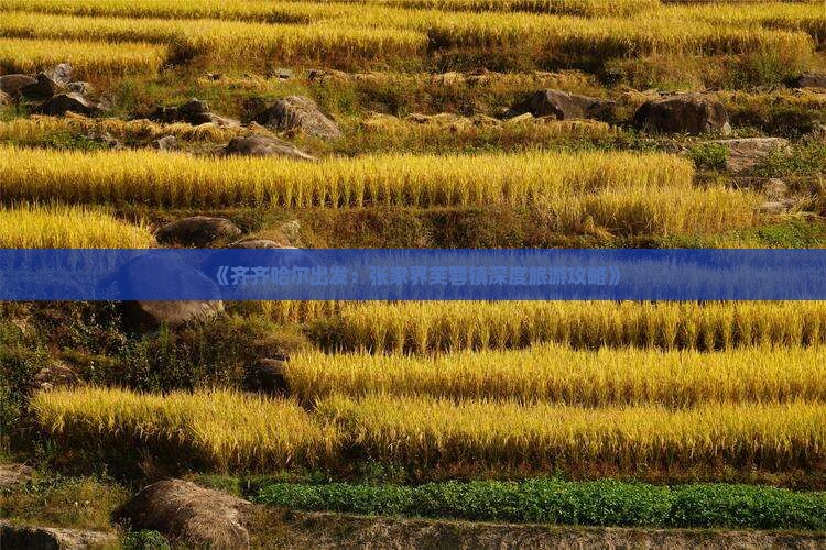 《齐齐哈尔出发：张家界芙蓉镇深度旅游攻略》
