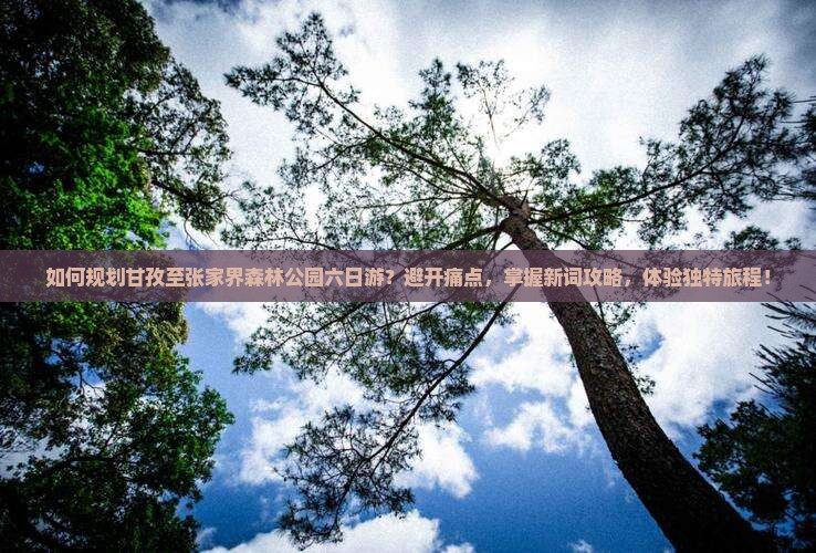 如何规划甘孜至张家界森林公园六日游？避开痛点，掌握新词攻略，体验独特旅程！